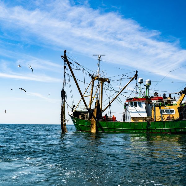 Europska komisija odobrila hrvatski program za potporu sektoru ribarstva i akvakulture u kontekstu pandemije koronavirusa